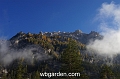 wbgarden alps 1
